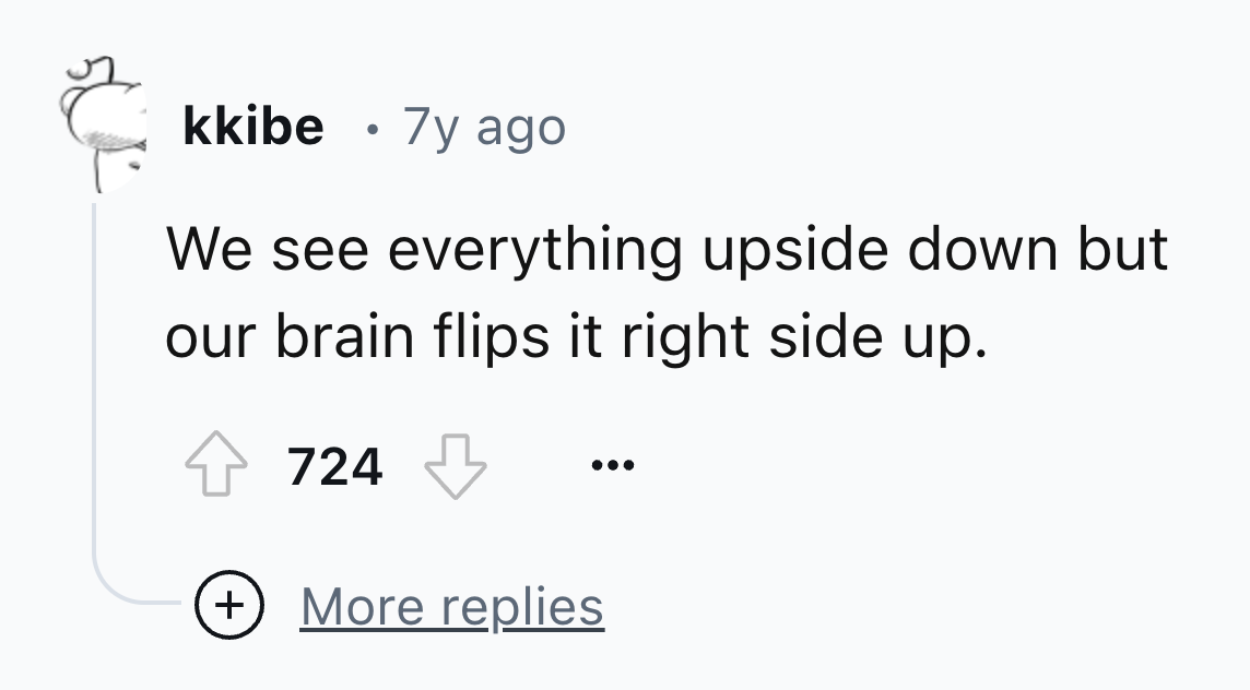number - kkibe 7y ago We see everything upside down but our brain flips it right side up. 724 More replies